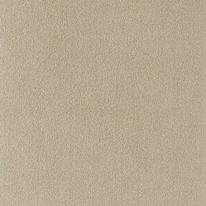 Camel – ウルトラスエード®マーケット
