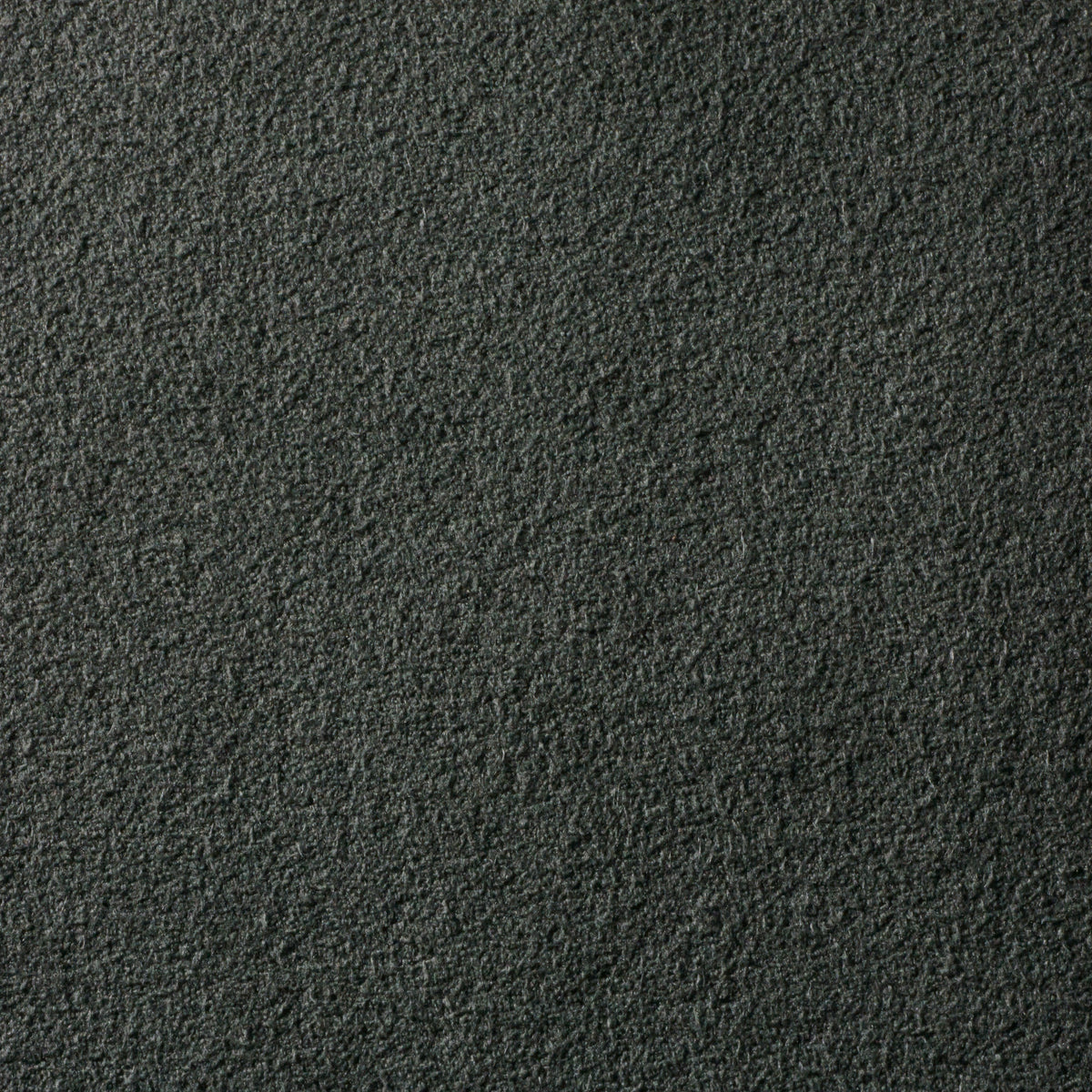 Lichen – ウルトラスエード®マーケット