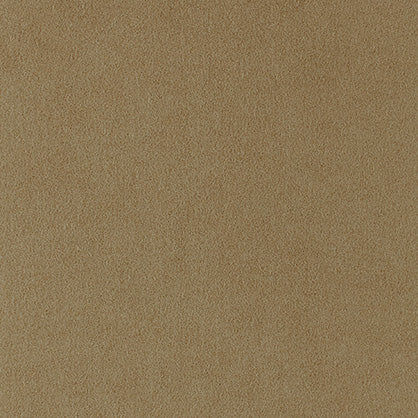 Sahara