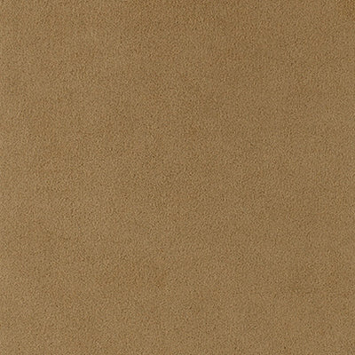 ウルトラスエード（うっちー） Ginger – ウルトラスエード®マーケット