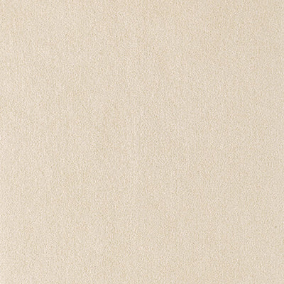 ウルトラスエード（うっちー） 5522_6232_400x.jpg?v=1752738653