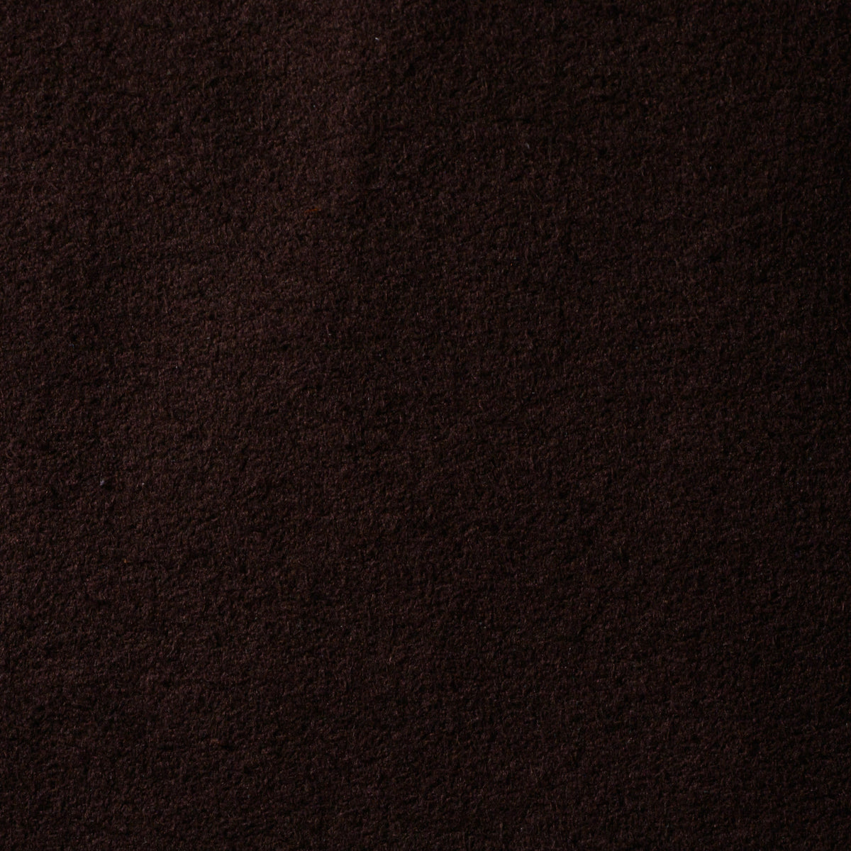CB3_1200x.jpg?v=1766561134