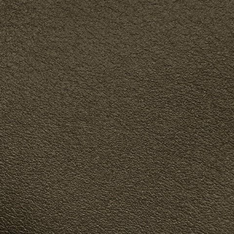 Black Olive