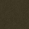 Black Olive